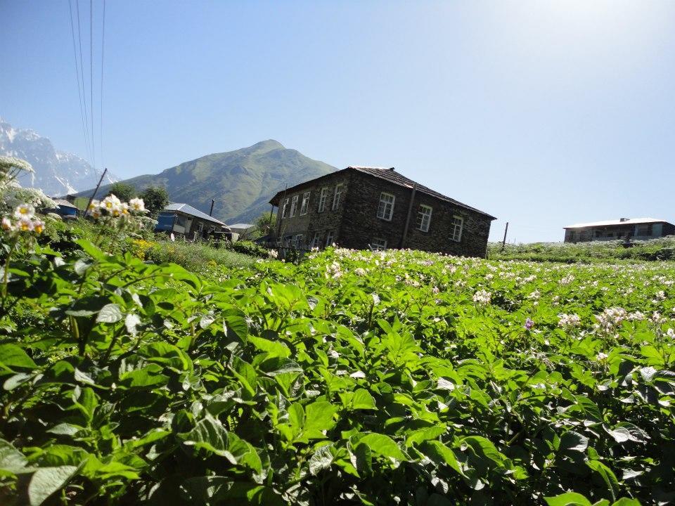 Caucasus Guesthouse Ushguli Zewnętrze zdjęcie